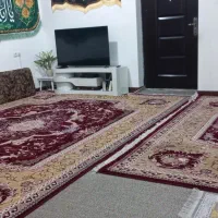قالی ۱۲ متری|فرش|بندر ماهشهر, |دیوار