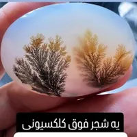 تعدادی انگشتر کلکسیونی|جواهرات|کرمانشاه, |دیوار