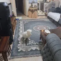 آپارتمان-65-متری-یک-خوابه