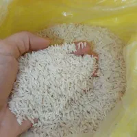 برنج هاشمی