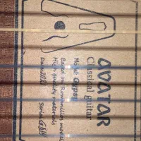 گیتار کلاسیک|گیتار، بیس، امپلیفایر|تهران, پونک|دیوار