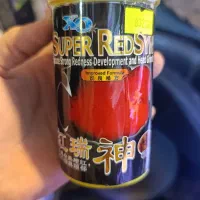 غذای تخصصی ماهی فلاور|ماهی|رشت, پل تالشان|دیوار