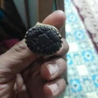 انگشتر