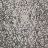 پادری(فرش راهرو)|پادری|ورامین, ورامین|دیوار