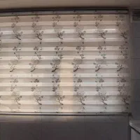 پرده زبرا سالم