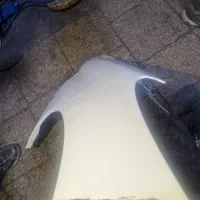 گلگیر جلوسمت شاگرد ۲۰۷