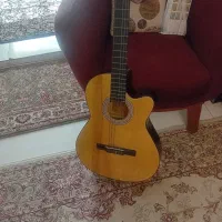 یک عدد گیتار نونو