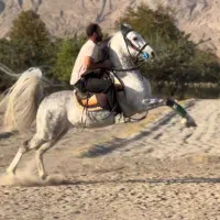 استخدام نیرو در باشگاه اسب سواری