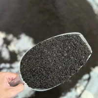 چای بهار 1405 ایرانی عمده