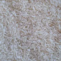 فروش برنج فجر آبیاری شده با آب چشمه