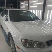 ماکسیما مدل ۸۴