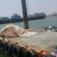 قایق پرسه کمات شریکی