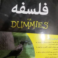 فلسفه فور دامیز