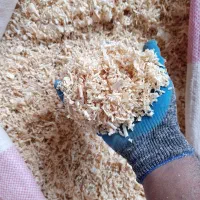 پوشال تمیز درجه یک بدون خاک با قیمت مناسب