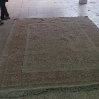 دو عدد قالی ۶ متری کرم رنگ|فرش|اهواز, کیانپارس |دیوار