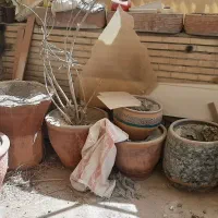 انواع گلدان های بزرگ و کوچک