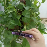 آیفون ۱۴|موبایل|اهواز, ۲۴ متری|دیوار