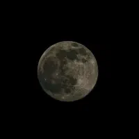 شناسنامه و کارت ملی گم شده