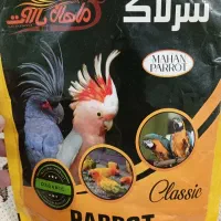 سرلاک طوطی سانان