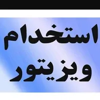 نیازمند ویزیتور (خانم)