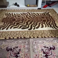 فرش فانتزی بسیار ضخیم|فرش|شاندیز, |دیوار