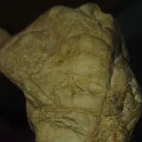 کلکسیون وسرگرمی