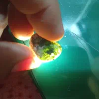 یشم جید|جواهرات|بندرعباس, |دیوار