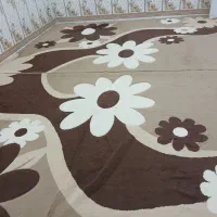 قالیباف ۱۲متری|فرش|اهواز, عین ۲|دیوار