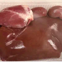 گوشت بره درجه یک|حیوانات مزرعه|اصفهان, دستگرده|دیوار