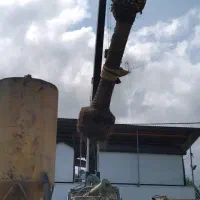 نخل فونیکس پالم|خدمات باغبانی و درختکاری|شلمان, |دیوار