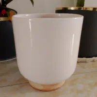 گلدون
