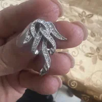 لنگه گوشواره گم شده