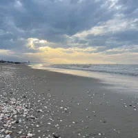 مشارکت ساخت