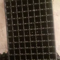 سینی نشا ۱۱۲حفره ۱۶۵۲ عدد