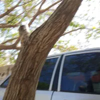 زمین 180 متر فرخد