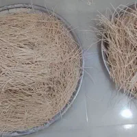 رشته آشی و پلویی