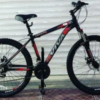 ویوا اصل ۲۴