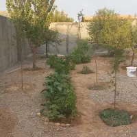 فروش باغ ویلادر مقصود آباد رسالت کشمیری|فروش خانه و ویلا|مشهد, مقصود آباد|دیوار
