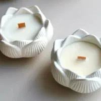 گیفت وباکس گل شمع