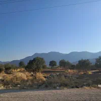 فروش زمین کشاورزی