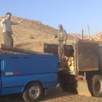 خرید چوب سقفی،ضایعات تر و خشک