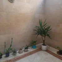 فروش آپارتمان میادین شرق آیت۷۶متر ۲ خواب دور میدان|فروش آپارتمان|تهران, دردشت|دیوار