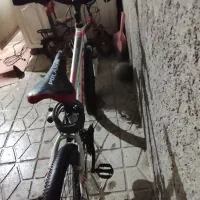 در حد نو|دوچرخه، اسکیت، اسکوتر|تهران, گلچین|دیوار