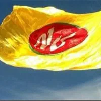 جدب ویزیتور کاله