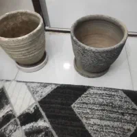 گلدون سفالی|گل و گیاه طبیعی|تهران, شهرک رضویه|دیوار