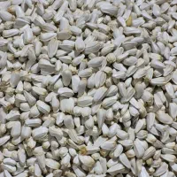 خوراک و مکمل دام و طیور|لوازم جانبی حیوانات|زارچ, |دیوار