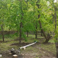 ۶۵۰ متر باغ سند دار جاده طالقان ابراهیم اباد|فروش زمین و ملک کلنگی|طالقان, |دیوار