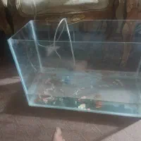 یک عدد اکواریوم ماهی