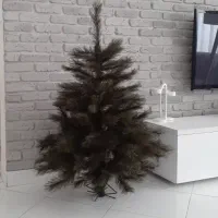 درخت کاج کریسمس