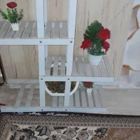 استندگلدان درچمران